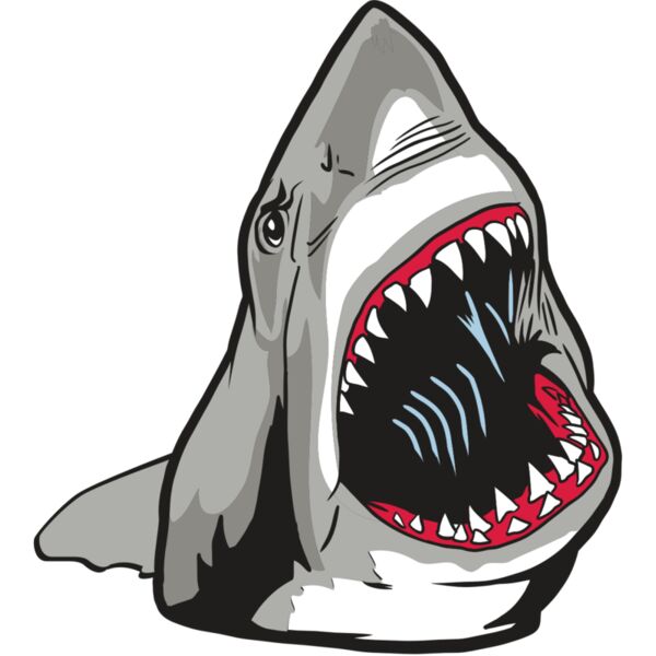 AR20 SHARK 45 RQC Thumbnail